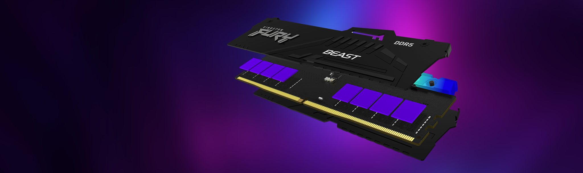 Kingston Fury Beast DDR5