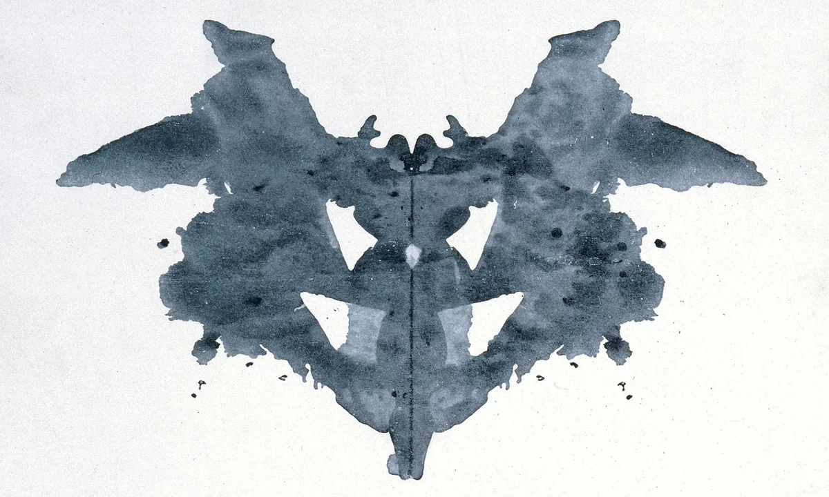 Příklad skvrny z Rorschachova testu