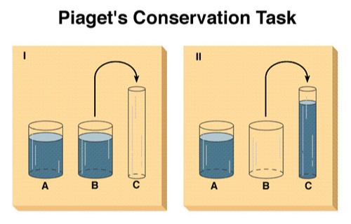 Piagetův test konzervace objemu